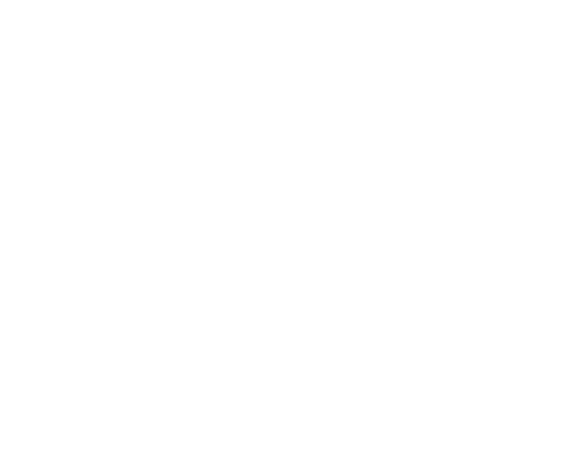 PrimeOre Services Logo